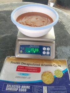 Frozen Decapsulated Artemia - 20 jam 15.36 kg