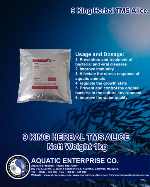 9 KING HERBAL TMS ALICE - Image 2