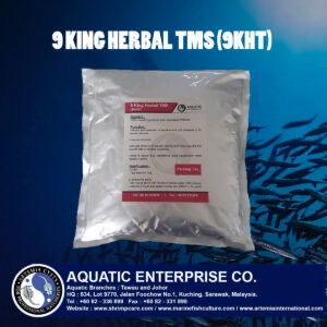 9 KING HERBAL TMS ALICE