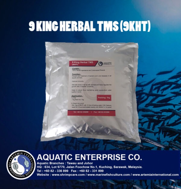 9 KING HERBAL TMS ALICE