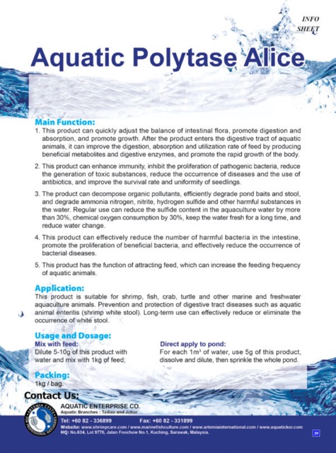 AQUATIC POLYTASE ALICE - Image 2