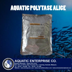 AQUATIC POLYTASE ALICE