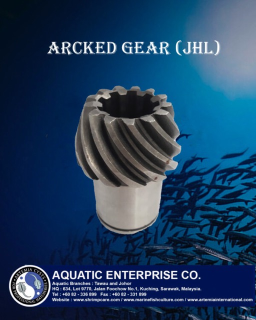 Arcked Gear CP (JHL)