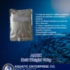 AMOX - Image 2