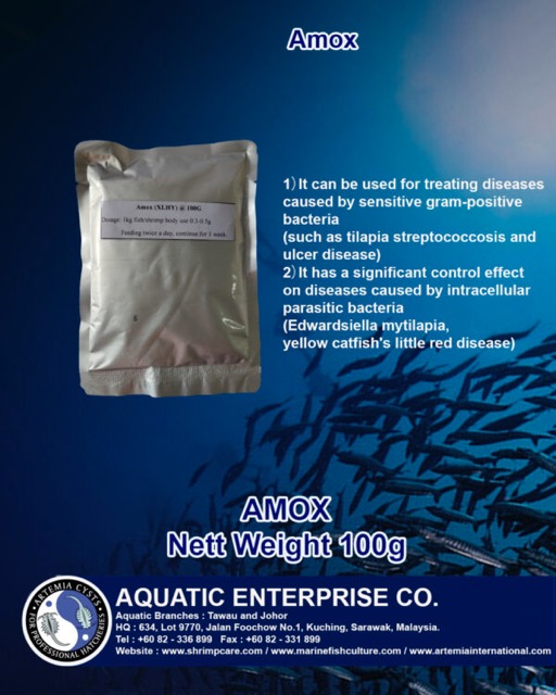 AMOX - Image 2