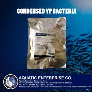 CONDENSE YP BACTERIAL
