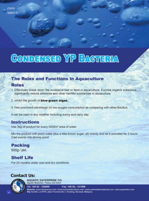 CONDENSE YP BACTERIAL - Image 2