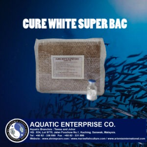 CURE WHITE SUPER BAC