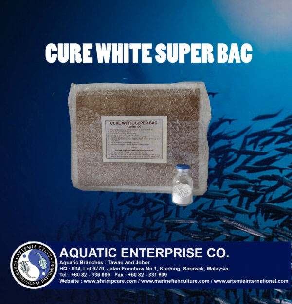 CURE WHITE SUPER BAC