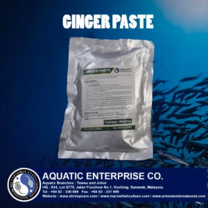 GINGER PASTE