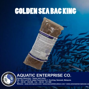 GOLDEN SEA KING BAC