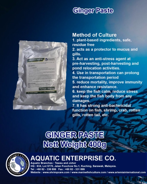 GINGER PASTE - Image 2