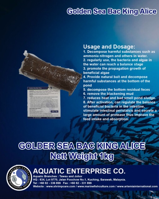 GOLDEN SEA KING BAC - Image 2