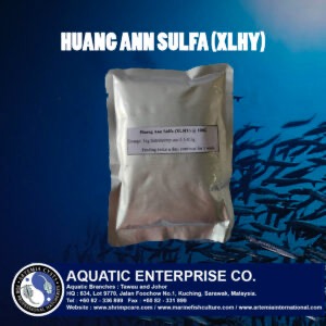 HUANG ANN SULFA