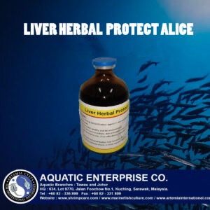 LIVER HERBAL PROTECT ALICE