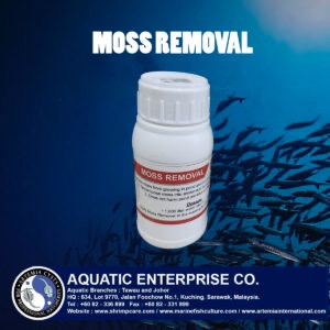 MOSS REMOVER