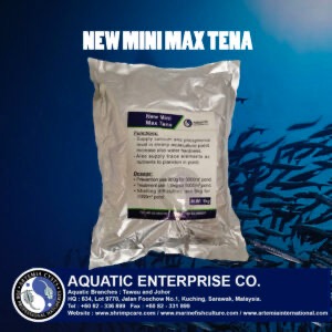 NEW MINI MAX TENA