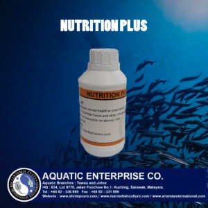 Nutrition Plus