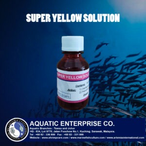 SUPER YELLOW SOLUTION