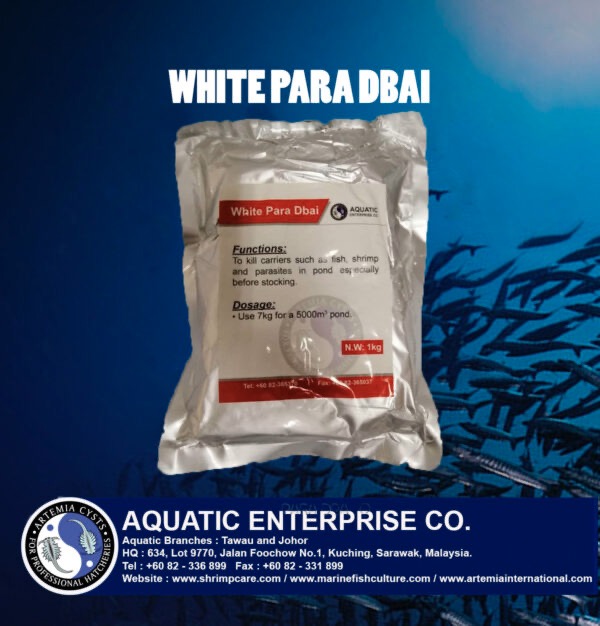 White Para Dbai