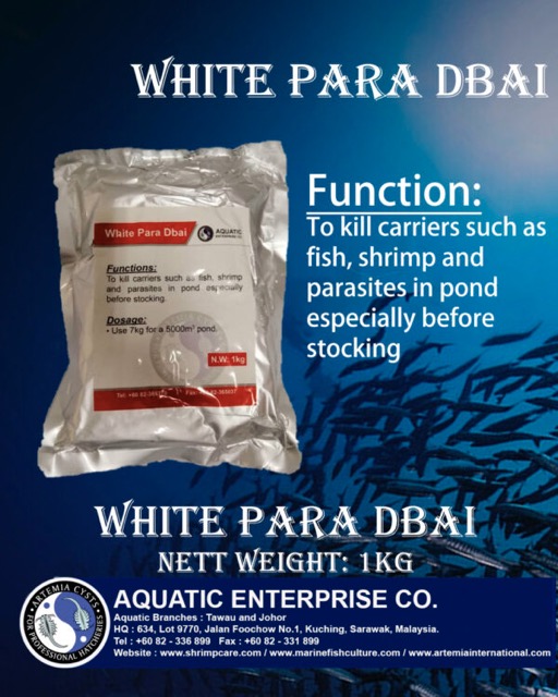 White Para Dbai - Image 2