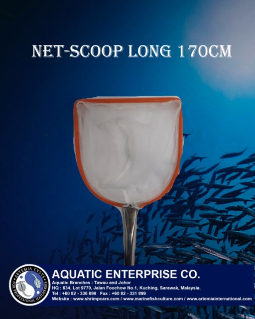 Catch Net - Image 2