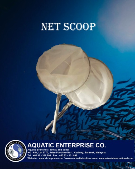 Scoop Net - Image 2