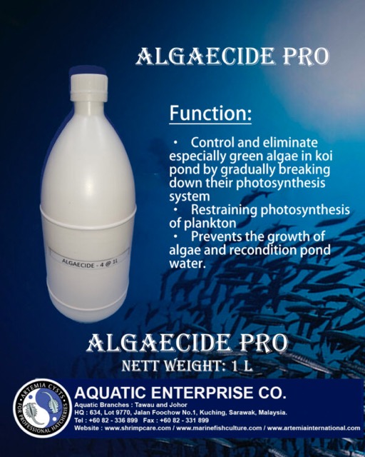ALGAE-4 - Image 2