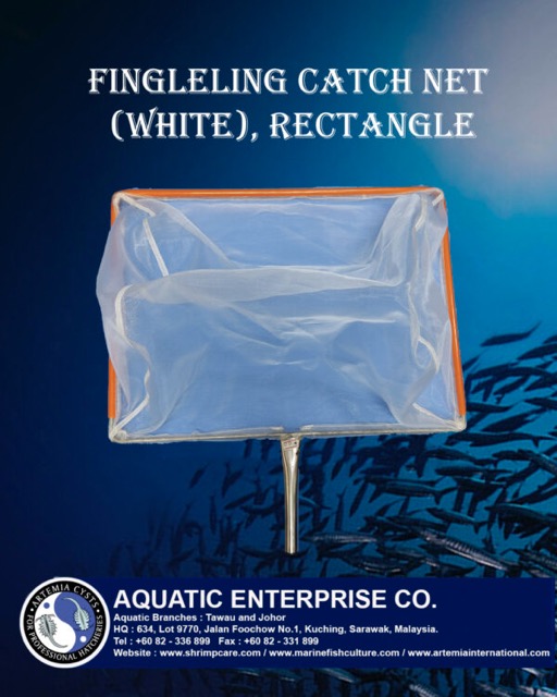 Catch Net - Image 5