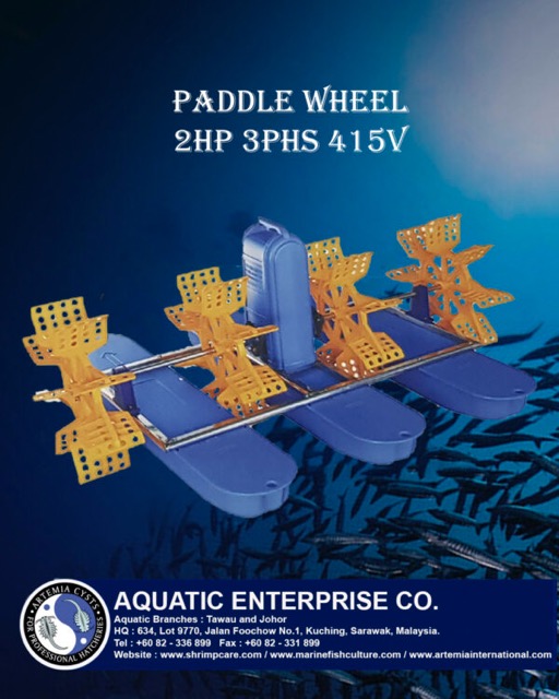 PADDLE WHEEL (JHL) - Image 2