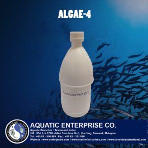 ALGAE-4