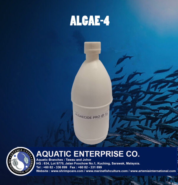 ALGAE-4