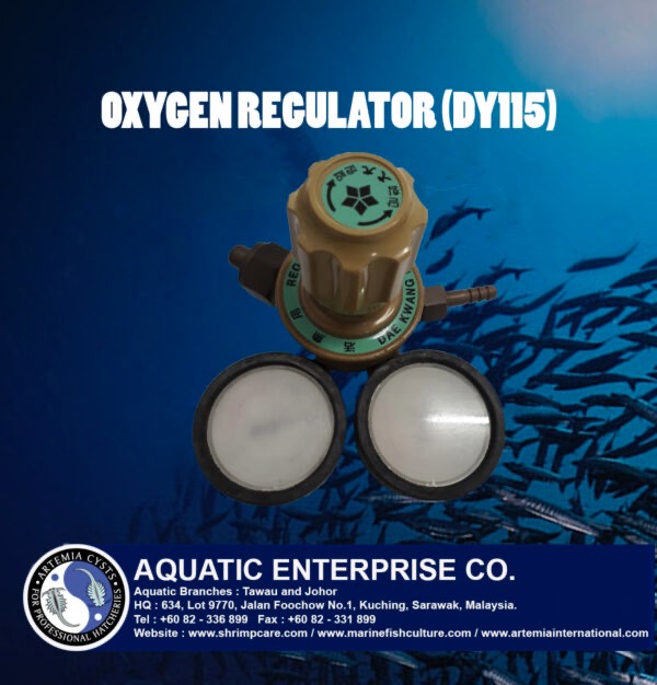 OXYGEN REGULATOR (DY115)