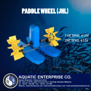 PADDLE WHEEL (JHL)